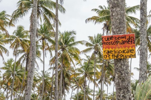 Guide pratique pour débuter et jouer aux échecs efficacement