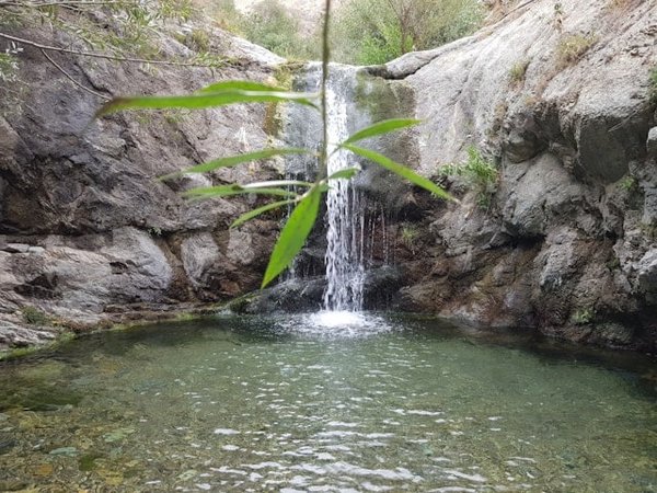 Comment les programmes scolaires peuvent-ils intégrer des activités pratiques sur la gestion durable de l'eau ?